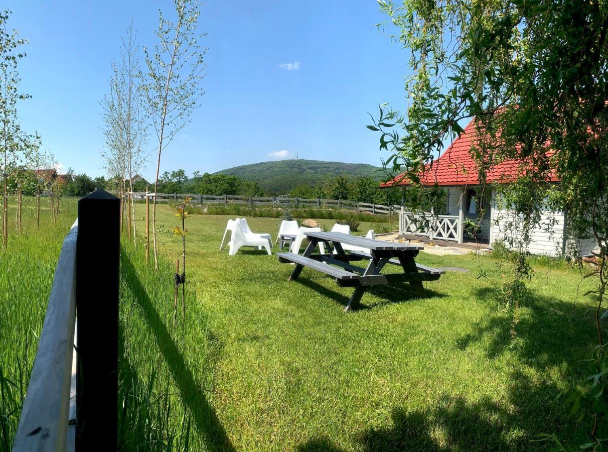 Blizej Slezy Domki Pod Sleza Sulistrowice Exterior foto