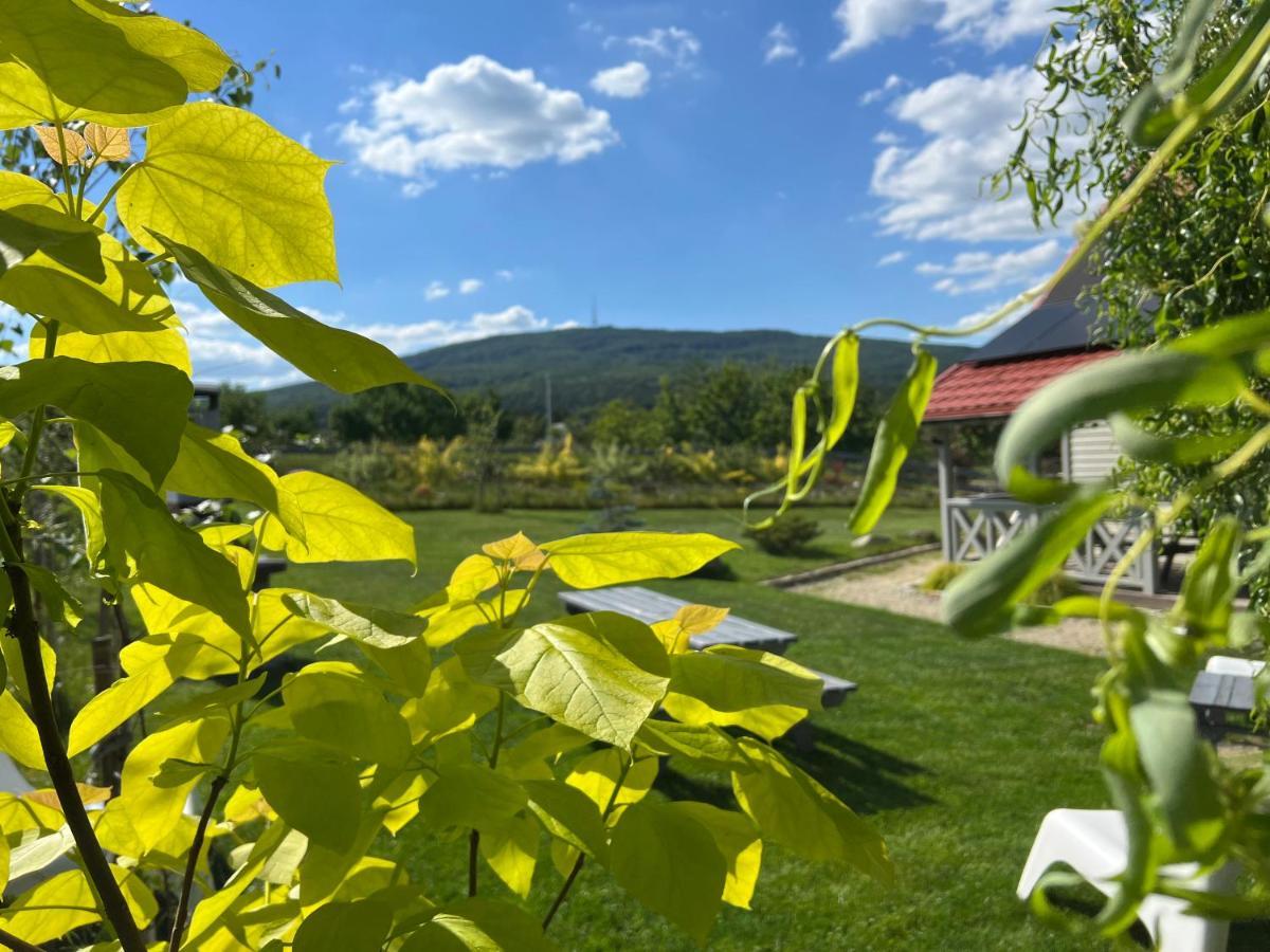 Blizej Slezy Domki Pod Sleza Sulistrowice Exterior foto